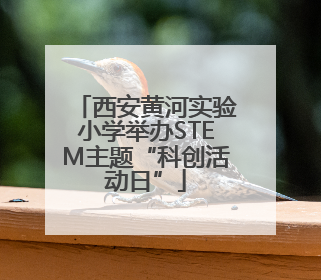西安黄河实验小学举办STEM主题“科创活动日”