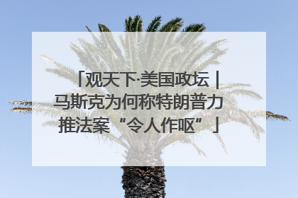 观天下·美国政坛｜马斯克为何称特朗普力推法案“令人作呕”