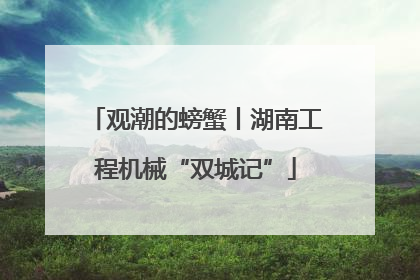 观潮的螃蟹丨湖南工程机械“双城记”