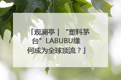 观澜亭｜“塑料茅台”LABUBU缘何成为全球顶流？