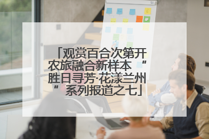 观赏百合次第开 农旅融合新样本 “胜日寻芳·花漾兰州”系列报道之七