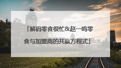 解码零食很忙&赵一鸣零食与加盟商的共赢方程式
