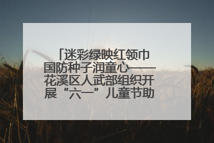 迷彩绿映红领巾 国防种子润童心——花溪区人武部组织开展“六一”儿童节助学兴教活动