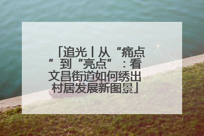 追光丨从“痛点”到“亮点”：看文昌街道如何绣出村居发展新图景