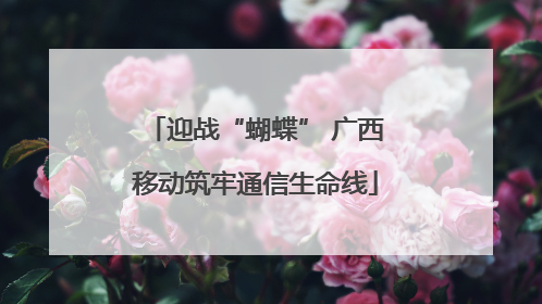 迎战“蝴蝶” 广西移动筑牢通信生命线