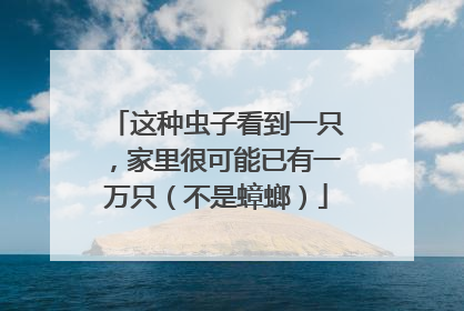 这种虫子看到一只，家里很可能已有一万只（不是蟑螂）