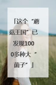 这个“蘑菇王国”已发现1000多种大“菌子”