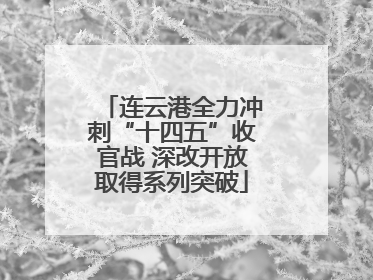连云港全力冲刺“十四五”收官战 深改开放取得系列突破