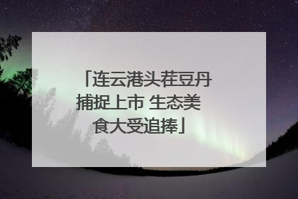 连云港头茬豆丹捕捉上市 生态美食大受追捧