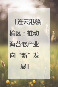 连云港赣榆区：推动海苔老产业向“新”发展