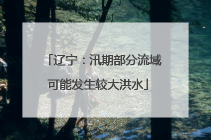 辽宁：汛期部分流域可能发生较大洪水
