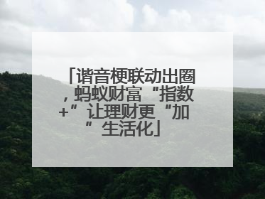 谐音梗联动出圈，蚂蚁财富“指数+”让理财更“加”生活化