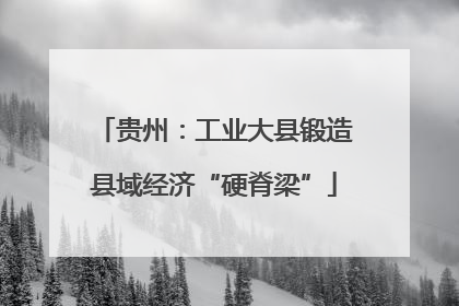 贵州：工业大县锻造县域经济“硬脊梁”