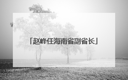 赵峰任海南省副省长