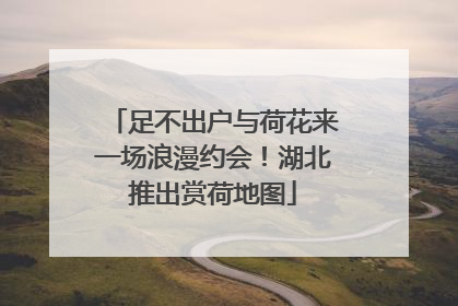 足不出户与荷花来一场浪漫约会！湖北推出赏荷地图