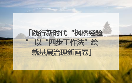 践行新时代“枫桥经验” 以“四步工作法”绘就基层治理新画卷