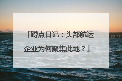 蹲点日记：头部航运企业为何聚集此地？