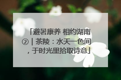 避暑康养 相约湖南②｜茶陵：水天一色间，于时光里拾取诗意