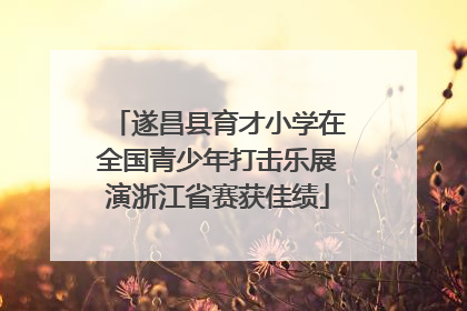 遂昌县育才小学在全国青少年打击乐展演浙江省赛获佳绩