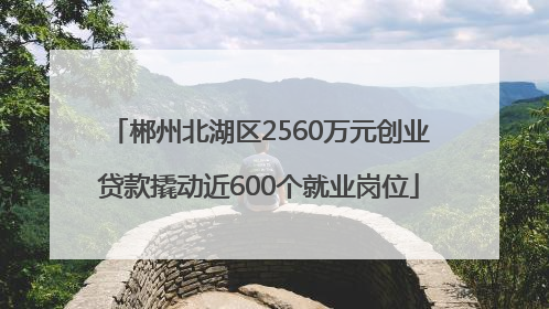 郴州北湖区2560万元创业贷款撬动近600个就业岗位