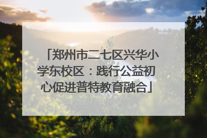 郑州市二七区兴华小学东校区：践行公益初心促进普特教育融合