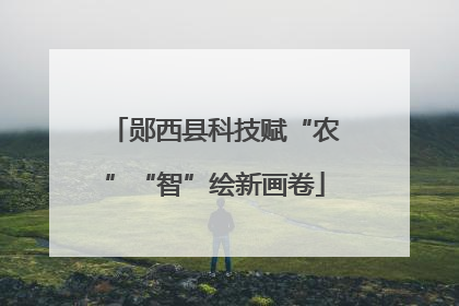 郧西县科技赋“农”“智”绘新画卷