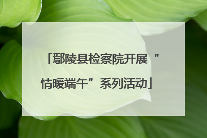 鄢陵县检察院开展“情暖端午”系列活动