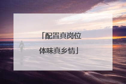 配置真岗位 体味真乡情