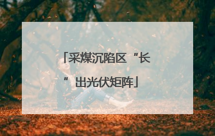采煤沉陷区“长”出光伏矩阵