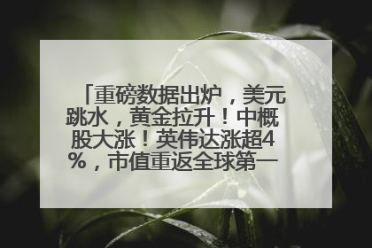 重磅数据出炉，美元跳水，黄金拉升！中概股大涨！英伟达涨超4%，市值重返全球第一！黄仁勋计划出售至多600万股股票