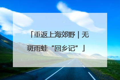 重返上海郊野｜无斑雨蛙“回乡记”