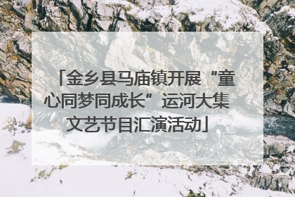 金乡县马庙镇开展“童心同梦同成长”运河大集文艺节目汇演活动