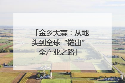 金乡大蒜：从地头到全球“链出”全产业之路