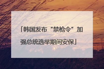 韩国发布“禁枪令”加强总统选举期间安保