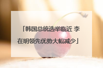 韩国总统选举临近 李在明领先优势大幅减少