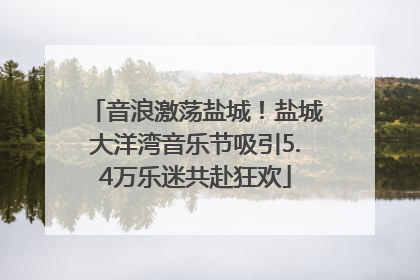 音浪激荡盐城！盐城大洋湾音乐节吸引5.4万乐迷共赴狂欢