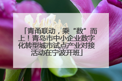 青甬联动，乘“数”而上！青岛市中小企业数字化转型城市试点产业对接活动在宁波开班