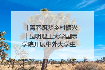 青春筑梦乡村振兴｜昆明理工大学国际学院开展中外大学生社会实践活动
