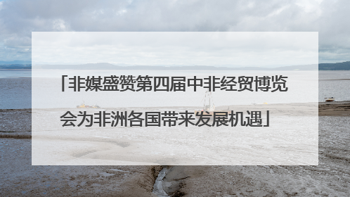 非媒盛赞第四届中非经贸博览会为非洲各国带来发展机遇