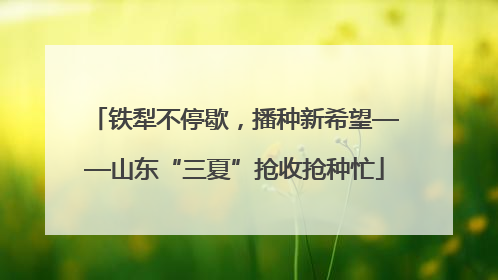 铁犁不停歇，播种新希望——山东“三夏”抢收抢种忙