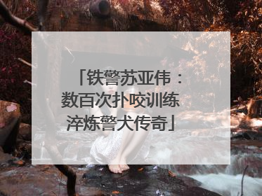 铁警苏亚伟：数百次扑咬训练淬炼警犬传奇