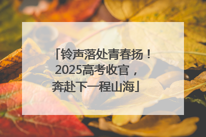 铃声落处青春扬！2025高考收官，奔赴下一程山海
