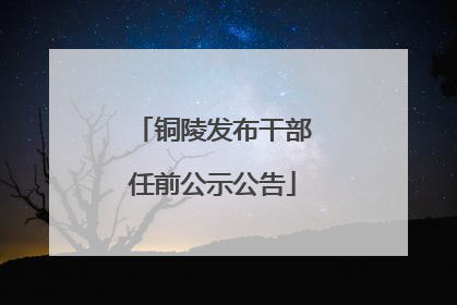 铜陵发布干部任前公示公告