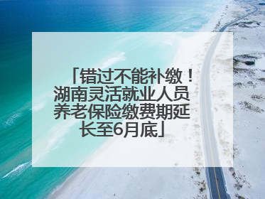 错过不能补缴！湖南灵活就业人员养老保险缴费期延长至6月底