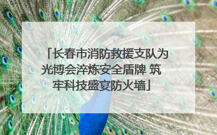 长春市消防救援支队为光博会淬炼安全盾牌 筑牢科技盛宴防火墙