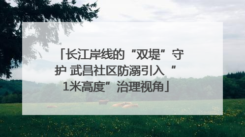 长江岸线的“双堤”守护 武昌社区防溺引入“1米高度”治理视角