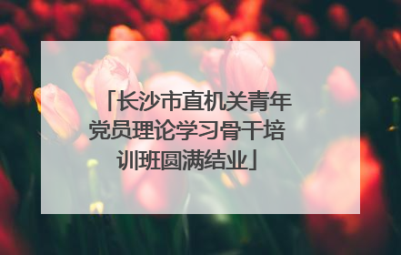 长沙市直机关青年党员理论学习骨干培训班圆满结业