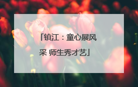 镇江：童心展风采 师生秀才艺
