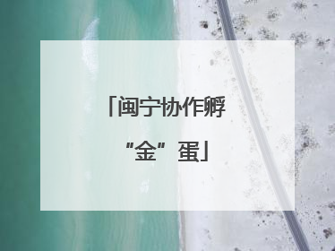 闽宁协作孵“金”蛋