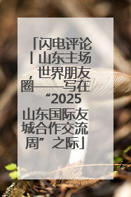闪电评论丨山东主场，世界朋友圈——写在“2025山东国际友城合作交流周”之际